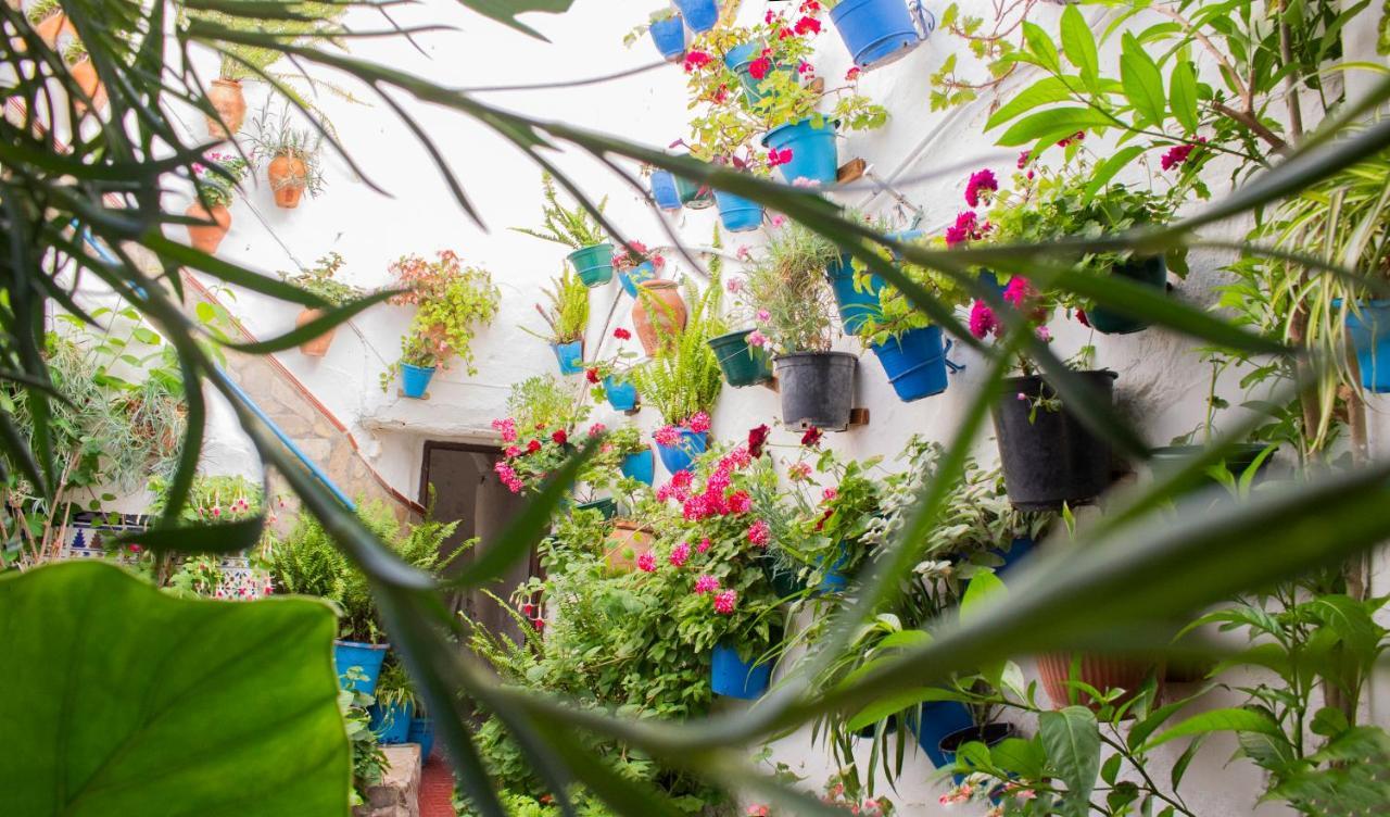 Casa Arco De La Pastora Daire Medina-Sidonia Dış mekan fotoğraf